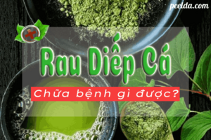 Rau Diếp Cá Chữa Bệnh Gì? 12 Tác Dụng Của Rau Diếp Cá.