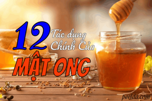 12 Tác Dụng Chính Của Mật Ong Khiến Bạn Phải Kinh Ngạc.