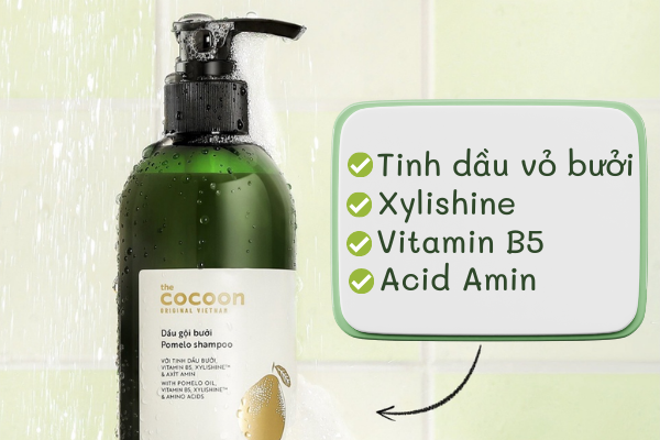 Review dầu gội Cocoon về thành phần