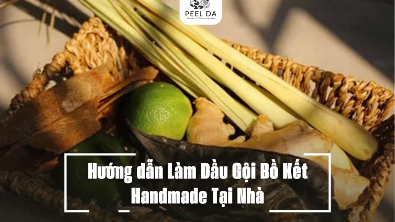 Hướng dẫn Làm Dầu Gội Bồ Kết Handmade Tại Nhà